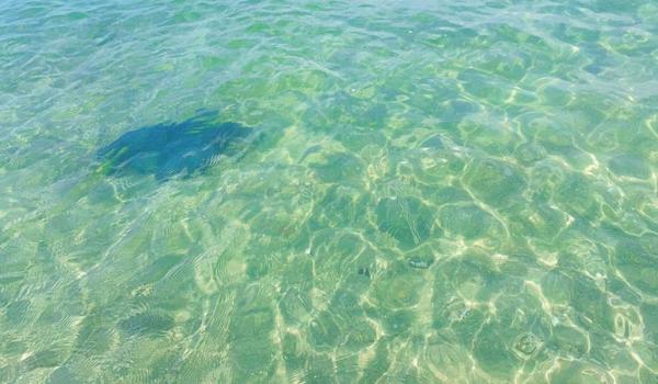 三角洲怎么不适用仓库物资升级(为什么三角洲行动仓库物资不能升级?) 三角洲怎么不适用仓库物资升级(为什么三角洲行动仓库物资不能升级?)