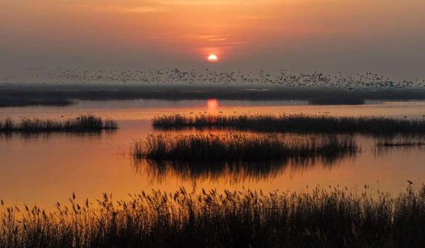 三角洲行动测试服下载(给我一个三角洲行动测试服的下载链接) 三角洲行动测试服下载(给我一个三角洲行动测试服的下载链接)